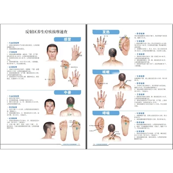 Ny Traditionel Kinesisk Medicin Menneskelige refleks zoner HD Atlas bog ,let at lære Massage