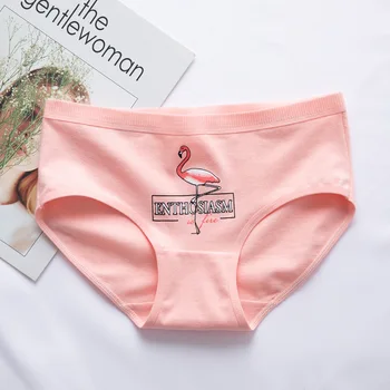 Mode Flamingo Trusser Til Kvinder Bomuld Undertøj Til Kvinder Piger Midt i Taljen Plus Size Kvinder Bomuld Trusser 3stk Trusse