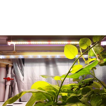 Led-Grow Light Bar Full Spectrum LED Plante Vokser Pære Phytolamp Til Drivhus Planter blomsterfrø Hydroponics Vokse Telt