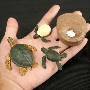 Nye Varmt Simulering Ocean Dyr, Et Insekt, Model Mini Dyr, Snegle Frog Havskildpadde Vækst Cyklus Ornamenter Kognitiv Pædagogisk Legetøj