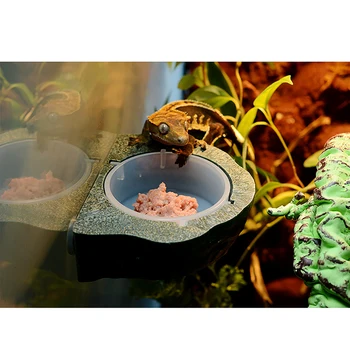 Lovoski Mini Magnet Gecko-Arkføderen Afsats Krybdyr, Terrarie Indretning Feeding Bowl