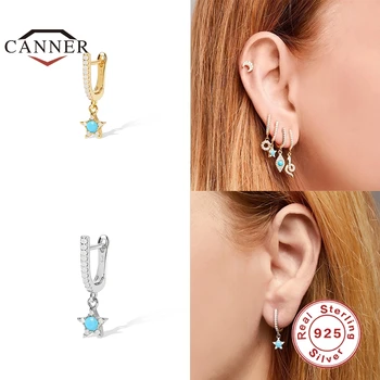 CANNER Europæiske og Amerikanske 925 Sterling Sølv Stud Øreringe til Kvinder INS Stil Stjernede Diamond Øreringe Piercing Smykker Earings