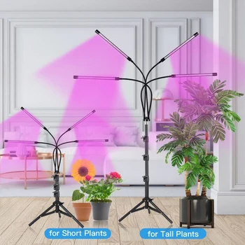 LED plantevækst Lys Fulde Spektrum Plante Lys Anlæg Til Indendørs Sætteplante Blomster, Grøntsager Beslag 5V USB-Phyto-Lampe