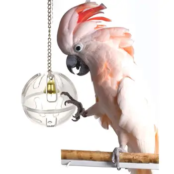 Pet pædagogisk legetøj fugl toy mad max fouragering bolden fouragering gnave puslespil interaktiv undervisning toy toy papegøje