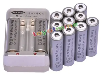 12x AA-3000mAh 1,2 V Ni-MH Genopladeligt Batteri Grå for RC Legetøj Kamera + Oplader + Stik