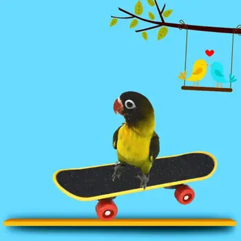 5Pcs/Sæt Parrot Uddannelse Legetøj Mini Indkøbskurv Uddannelse Ringe Skateboard Stå 95AA