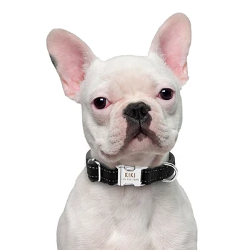 Hundehalsbånd Personlig Reflekterende Stor Hund Kraver Nylon Justerbar Costomized Krave for Små Mellemstore Store Hunde Pet Pitbull