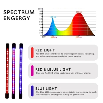 LED plantevækst Lys Fulde Spektrum Plante Lys Anlæg Til Indendørs Sætteplante Blomster, Grøntsager Beslag 5V USB-Phyto-Lampe