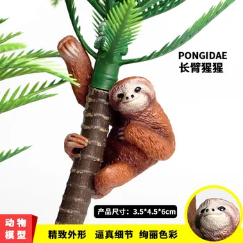 Nye Børns Kognitive Solid Simulering Wild Animal Model Zoo Sloth Lange væbnede Orangutang Monkey Model Toy Dekoration