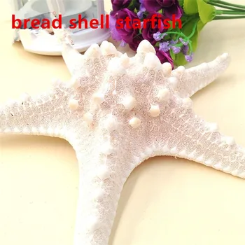 5pcs/masser Naturlige håndværk hvidt brød havet shell søstjerner, mode hjem dekorative håndværk