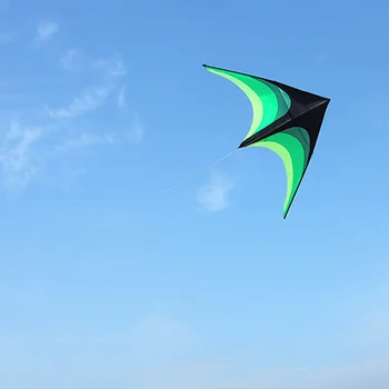 160cm Drageflyvning Lange Hale Udendørs Sjov Sport Pædagogiske Gaver Kites Super Store Kite Line Stunt Børn Kites Legetøj for Voksne