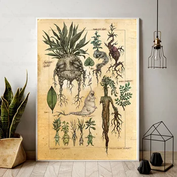 Mandrake Plante Plakat Hekseri Botanik Planter Lærred Maleri for Harry Fan Væg Kunst, Dekoration