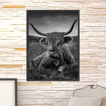 Minimalistisk Farm Animal Lærred Maleri Sort Highland Ko Væg Kunst Highland Bull Plakater og Sne Udskriver Billeder til Drenge Værelset