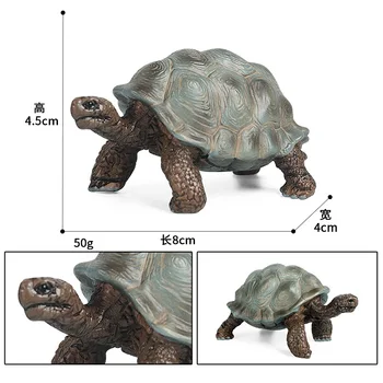 Simulering Kæmpe Skildpadde Dyr Model Jord Turtle Marine Liv Action Figur Toy Pædagogiske Samling For Kids Xmas Gave