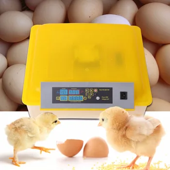 (Sendt fra Tyskland) 48 Æg Inkubator Kylling Auto Dreje Hatcher Temperatur Luftfugtighed Gave